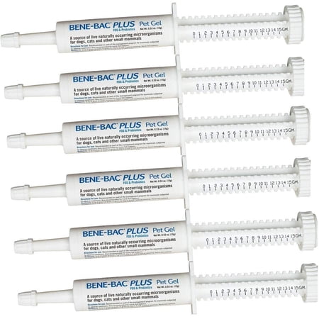 6 Pack Bene-Bac Plus Gel, 15g Syringe 6 -Pack