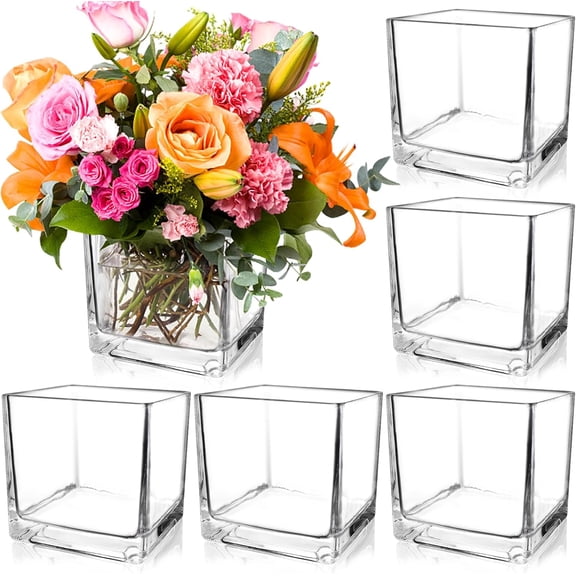 6 Pack Clear Square Glass Vases 5 Inch Cube for Centerpieces Candle Holders Wedding Party Home Decor