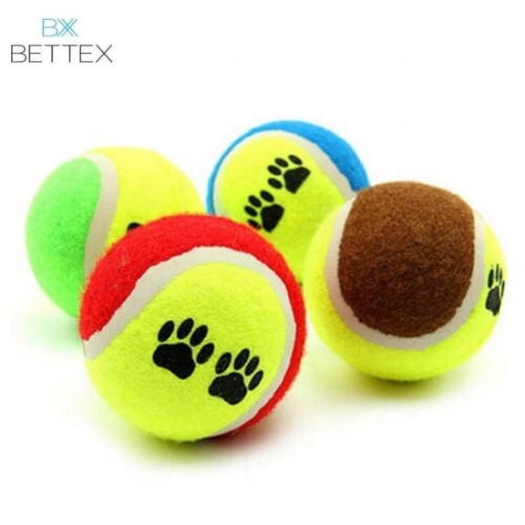 6 Pack Cricket Ball Toy Bite Resistant Hard To Break