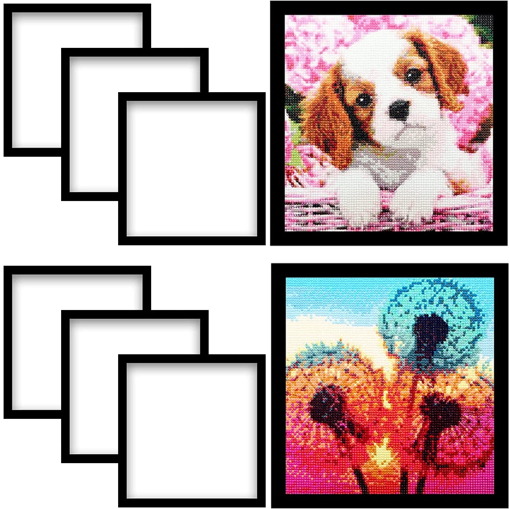 6 Pack Diamond Art Painting Frames for 12x12in Diamond Painting Canvas, Diamond Art Painting Accessories Magnetic Frame for Wall Window Door Home Decor (Inner Size 10x10inch)