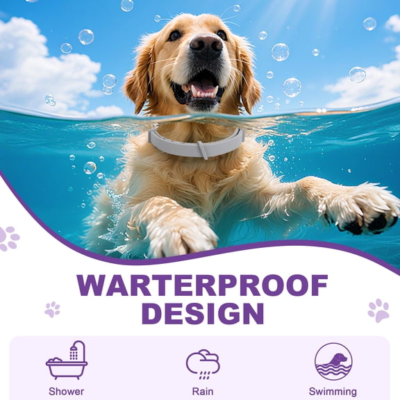 6-Pack Dog Calming Collar with Natural Pheromones | 60-Day Stress and Anxiety Relief for Puppies and Adult Dogs | Waterproof, Adjustable 25-Inch Fit in Grey Color