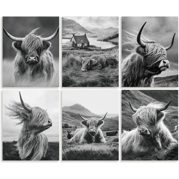6 Pack Farmhouse Highland Cow Animal Unframed Waterproof Canvas Wall Art Decor 8" x 10" Black and White Modern Western Rustic Canvas Wall Poster