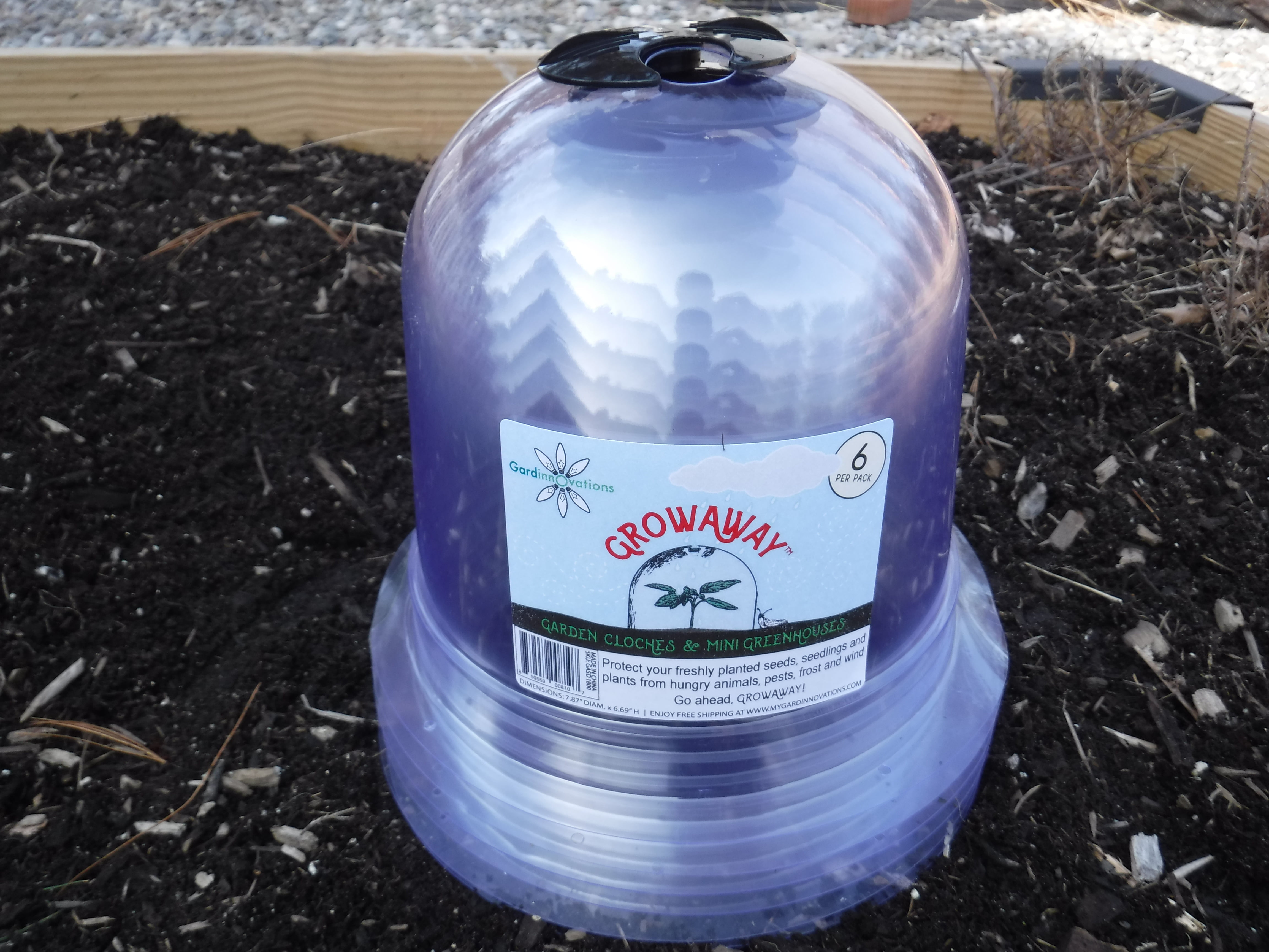 6-Pack! GrowAway Small Reusable Plastic Mini Greenhouse, Garden Cloche Dome