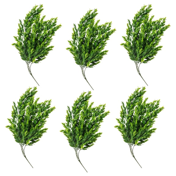 6 Pack: Hanging Ruscus Bush by Ashland