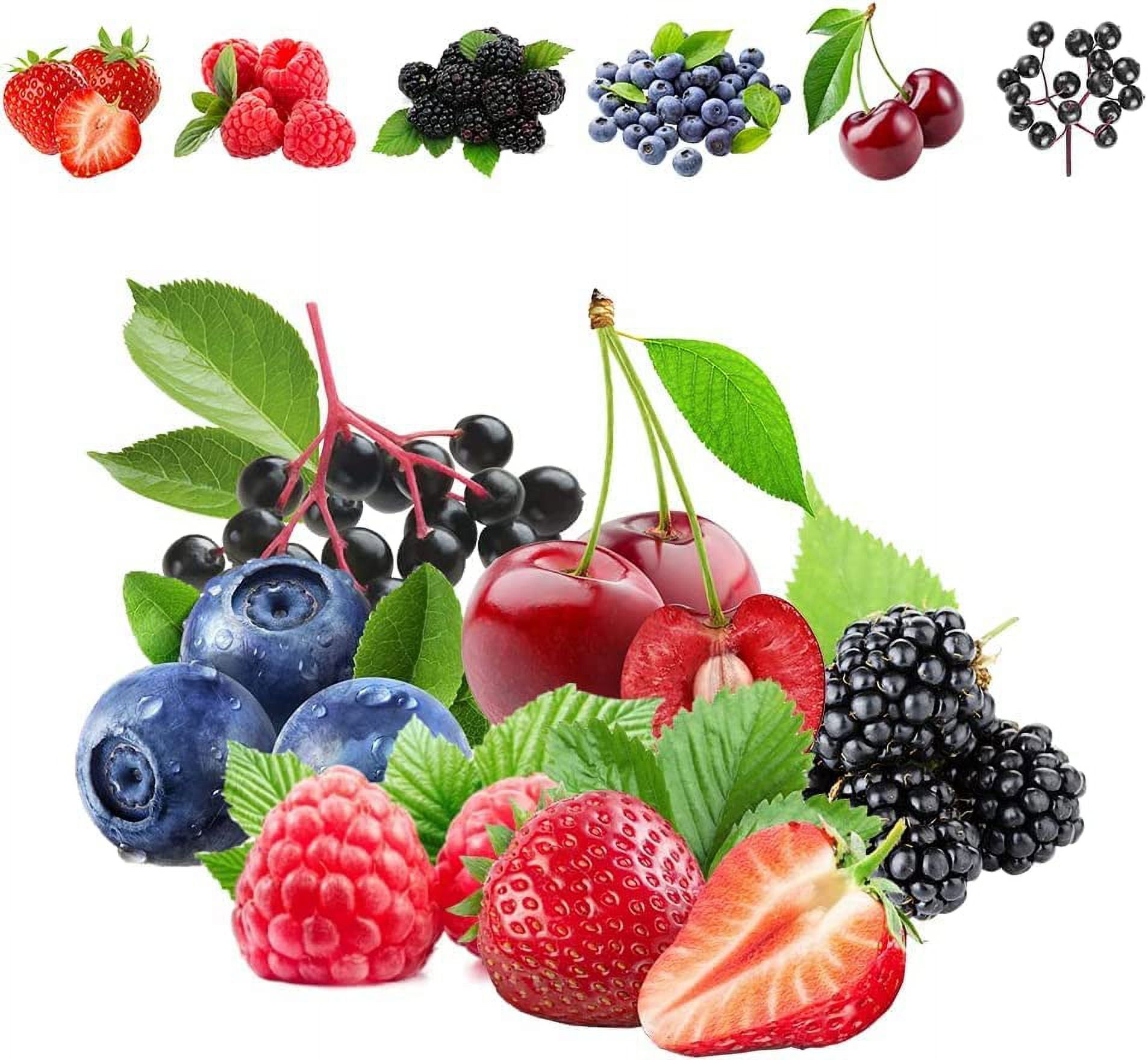 6pk Heirloom Fruit Seeds Raspberries, Strawberries, Blueberries