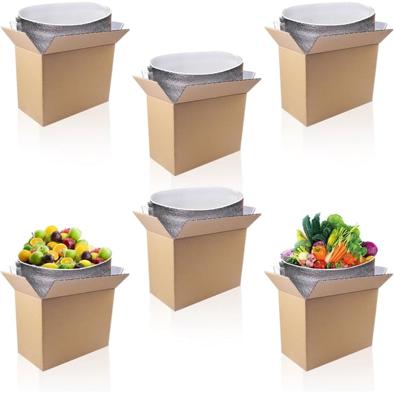 6 Pack Insulated Shipping Boxes with Aluminum Foil Liner, 11X6X7.9 Cold Shipping Boxes, Reusable Styrofoam Cooler Box, Small Mailing Box for Shipping Mailing Packing