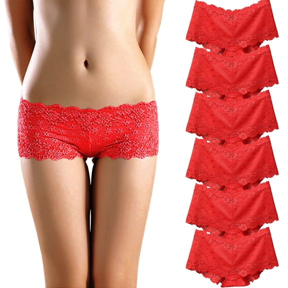 6 Pack Lace Underwear for Women Sexy Invisible Briefs Soft Embroidery Floral Panties