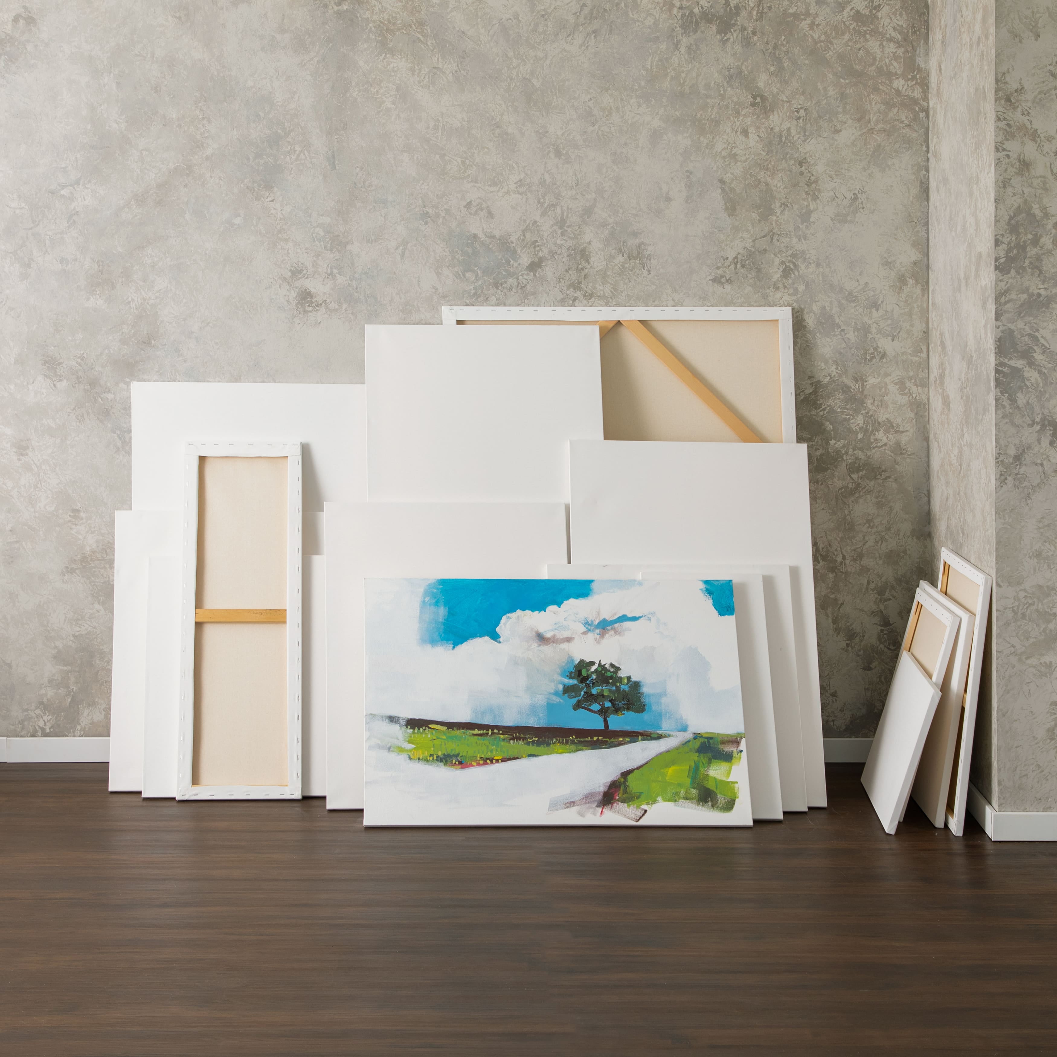 Assorted Rectangular Stretched Canvas Artist Pack - 18x24 , 14x18