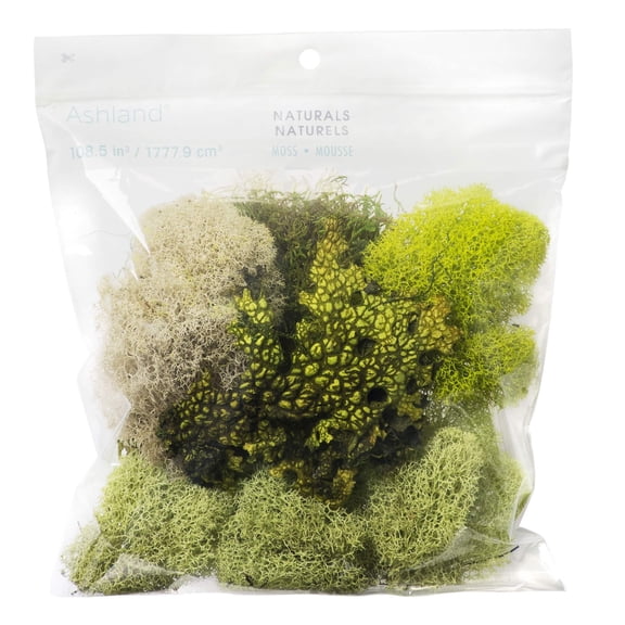 6 Pack: Moss Variety Pack by Ashland