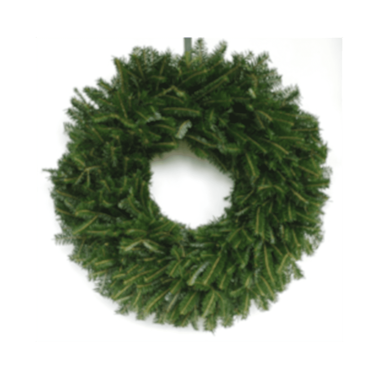 6 Pack Plain Balsam Fir Wreaths