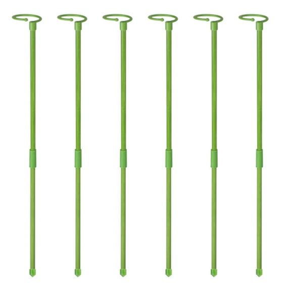 6 Pack Plant Support Stakes, 24 Inch Metal Garden Plant Stakes Single Stem Support Rings for Indoor Outdoor Amaryllis, Flowers Orchid, Lily, Peony, Rose, Tomato, Monstera, Narcissus(Green)