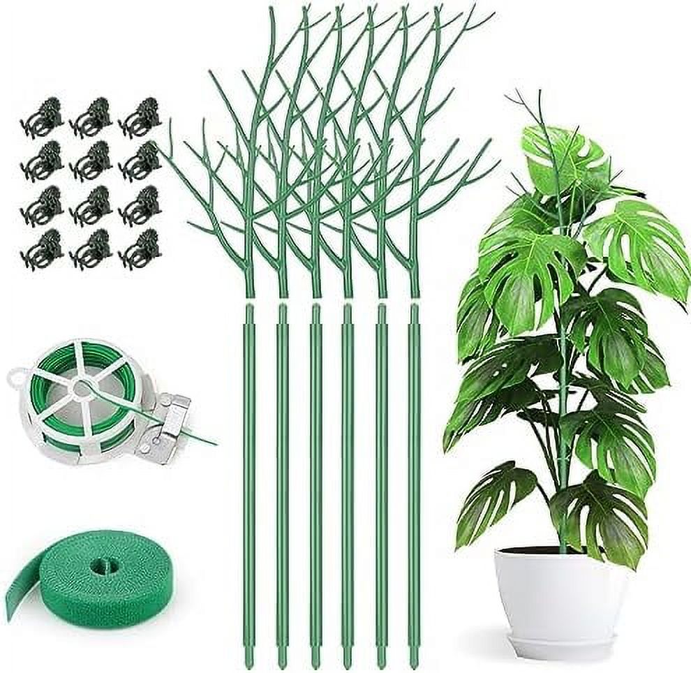 6 Pack Plant Support Stakes for Indoor Plants 27.56 Inch Twig Plant