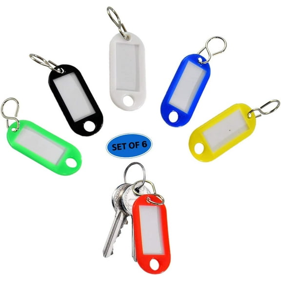6 Pack Plastic Key Tags Keychain with Split Ring and Label Window, ID Label Tags Identifier Name Number Address Information Label Card-6 Colors