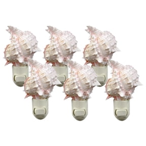 6-Pack: Seashell Night Light Real Pink Murex Shell Beach Decor w. on/off switch Beautiful Coastal Cottage