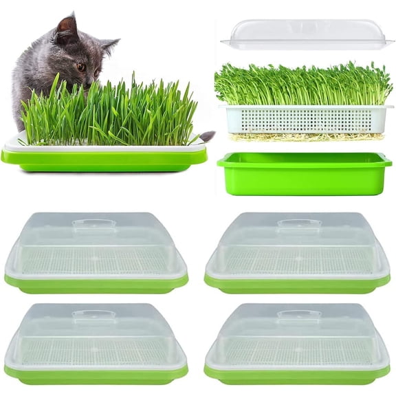 6 Pack Seed Sprouter Tray with Cover, Double Layer Seed Germination Nursery BPA-Free Tray Kit, Soil-Free Healthy Wheatgrass Grower Sprouting Container Kit for Home Office Gardening