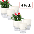 thumbnail image 1 of 6 Pack Self Watering Pots for Indoor Plants, Self-Watering Planters Box Transparent,Plastic Planter Pot for Spider Plant, Orchid for Home & Office. African Violet Pot for Outdoor Plants (6”), 1 of 7