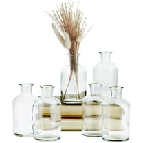 Farmlyn Creek Narrow Jar Vases - 2.8 in x 5 in, 7.5 oz, 6 Pack, Clear Glass - Apothecary-Style Jars & Glass Bottle Vases for Propagation & Mini Decorative Bottles