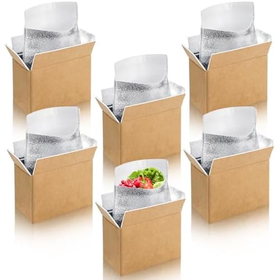 6 Pack Small Insulated Shipping Boxes with Aluminum Foil Liner, Insulated Carton for Frozen and Hot Food, Reusable Foam Cooler Mailing Box for Travel Mailing Packing Shipping, 8.3" x 4.4" x 6"