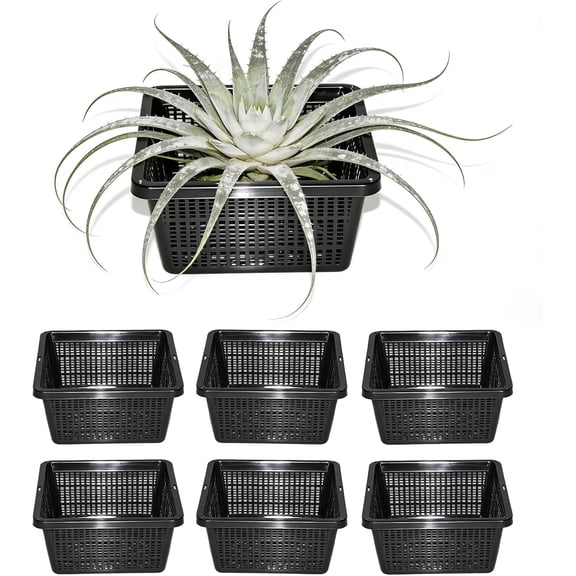 6 Pack Square Aquatic Plant Planter Basket - 7 Inch (18cm) Mesh Pond Plant Pots, Plastic Slotted Design for Water Garden, Aquaponics & Hydroponics Outdoor Use