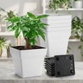 thumbnail image 1 of 6-Pack Square Planters - Heavy Duty White Pots for Indoor Plants, Plastic Flower Pots with Built-in Drainage Tray & Stopper, Matte Modern Garden Planter for Herbs & Succulents, 1 of 4
