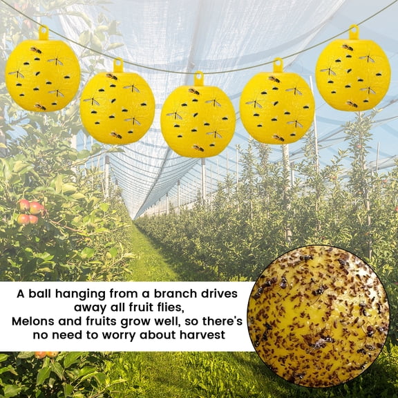 6 Pack Sticky Fly Traps, Fly Traps Outdoor/Indoor, Fly Stick, Fruit Fly Trap, Flying Insect Catcher Gnat Trap Killer for Flying Plant Insect Such as Mosquitos, Aphids, Leafminers, Fungus Gnats