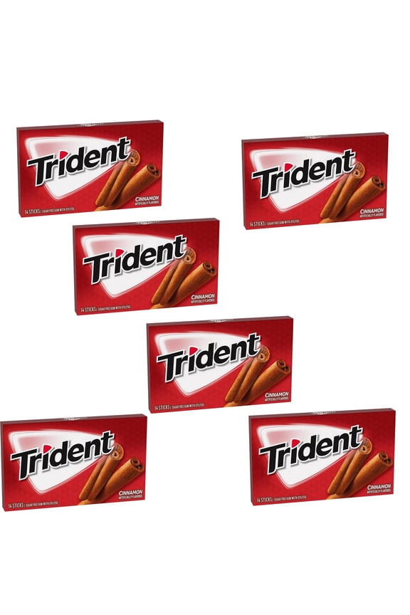 6 Pack Sugar-Free Chewing Gum | Multipack Cinnamon Flavoured Gum - 14 Pieces Per Pack | RADYAN