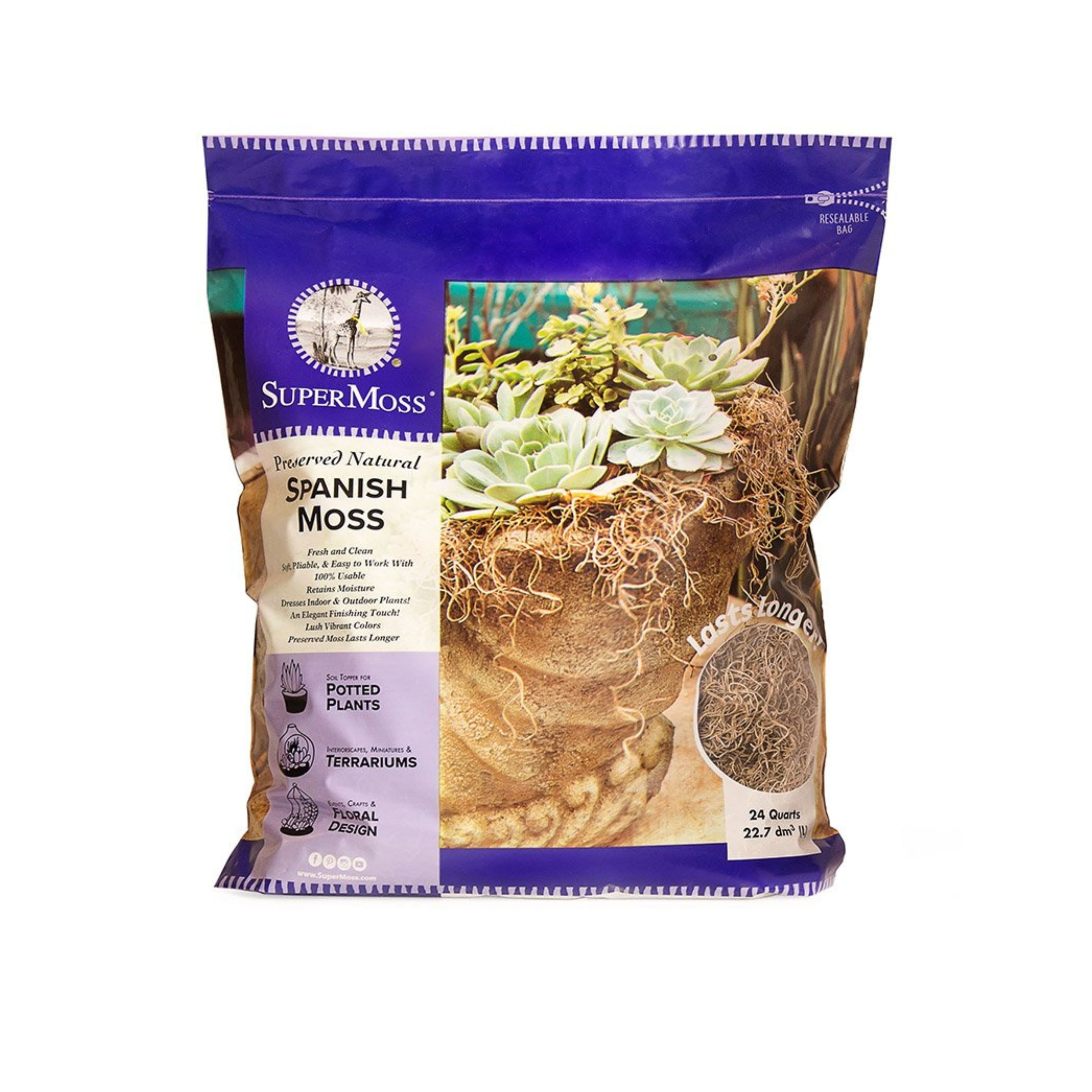 6 Pack SuperMoss® Natural Preserved Spanish Moss, 24qt.