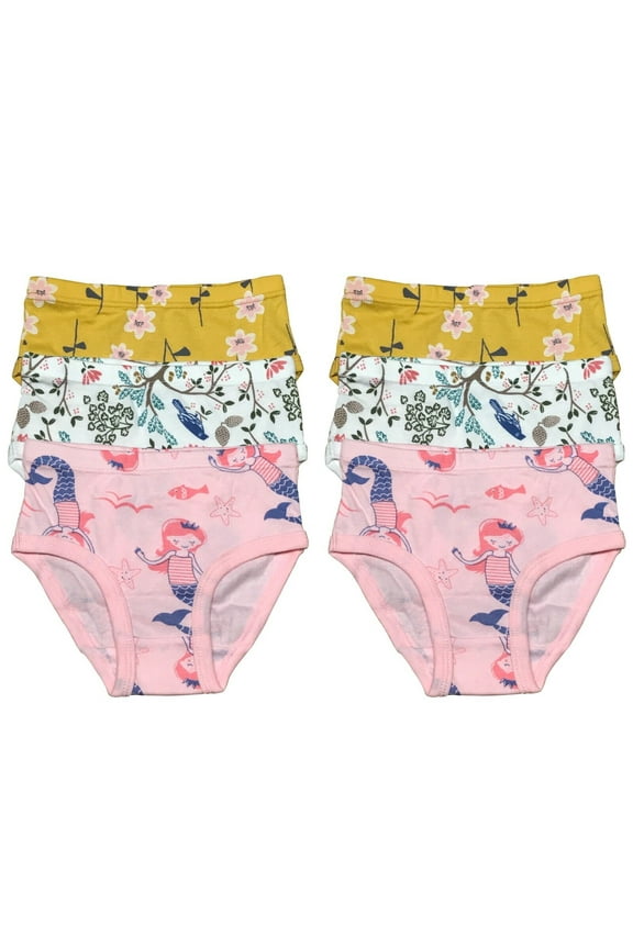 6 Pack Toddler Little Girls Kids Cotton Briefs Underwear, Hipster Panties Size 2T 3T 4T 5T 6T