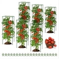 thumbnail image 1 of MQHUAYU 6 Pack Green Square Tomato Cages, 41.7" Heavy Duty Plant Support Cages with 20 Plant Clips, Plastic-Coated Steel Rust-Resistant Trellis for Garden Climbing Vegetables, Flowers and Fruits, 1 of 9
