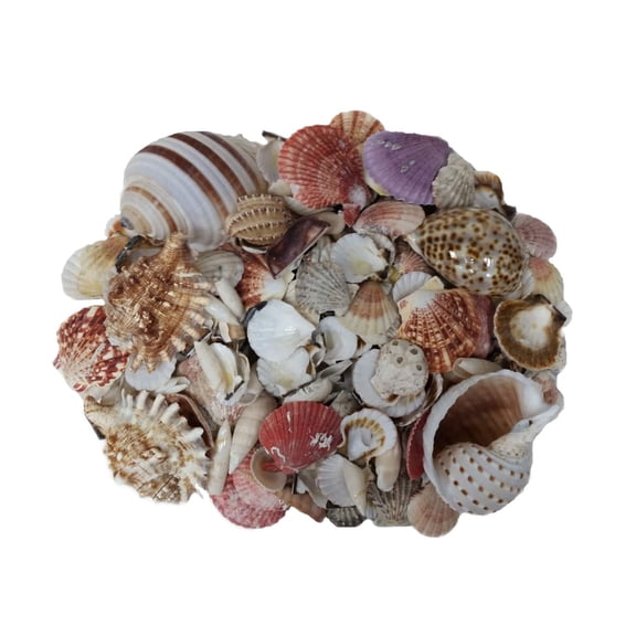 U.S. Shell Garden Bag, 6 Pack