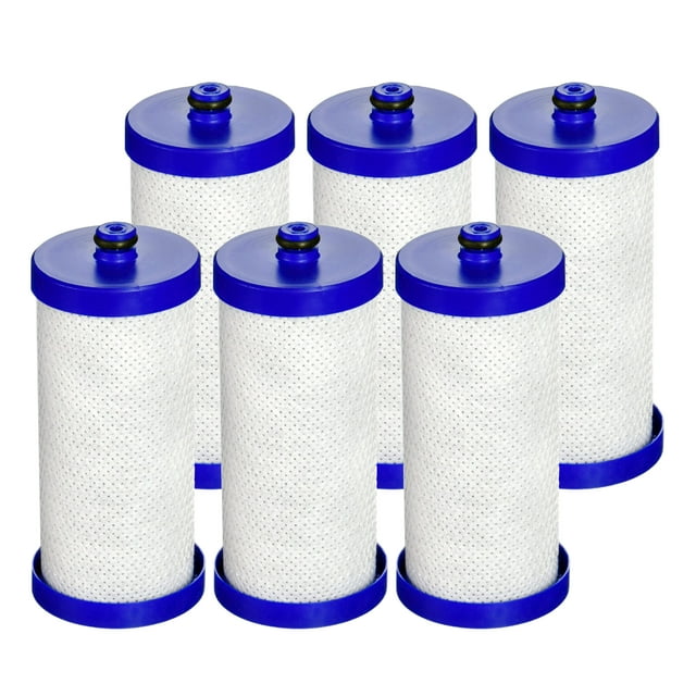 6 Pack Waterdrop WF1CB Replacement for WF1CB, WFCB, RG100, NGRG2000