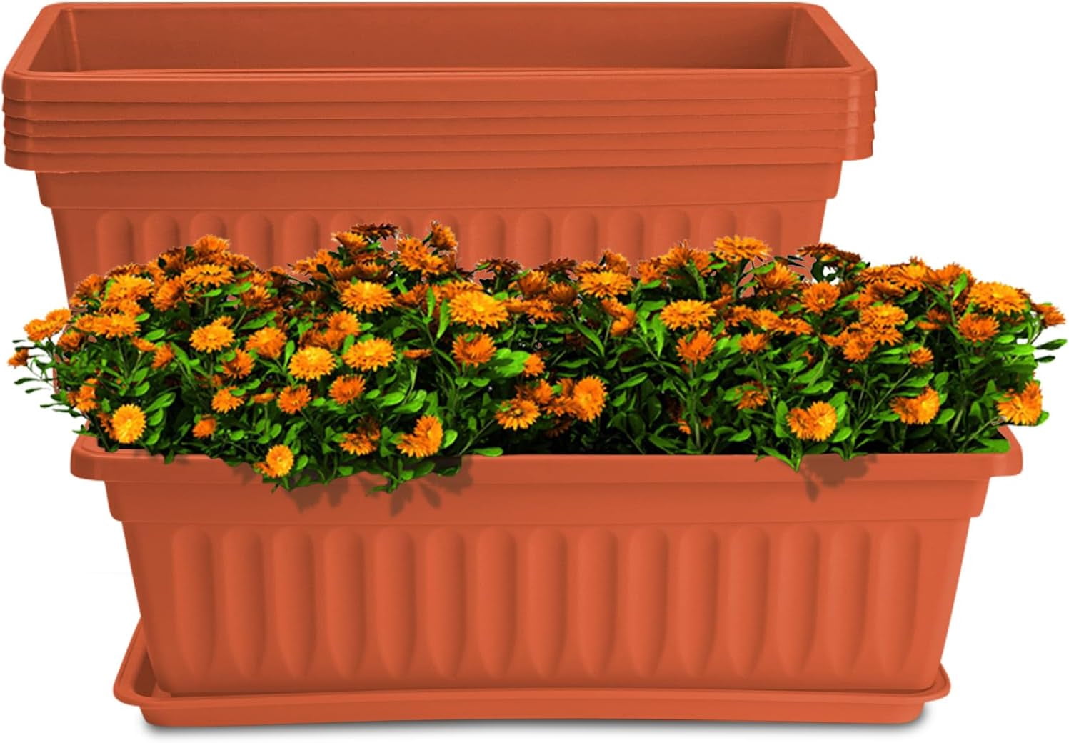 6 Pack Window Box Planter, 17 inches Plastic Vegetable Flower Planter Boxes with Tray, Rectangular Indoor and Outdoor Flower Pots for Windowsill, Patio, Porch, Garden Balcony