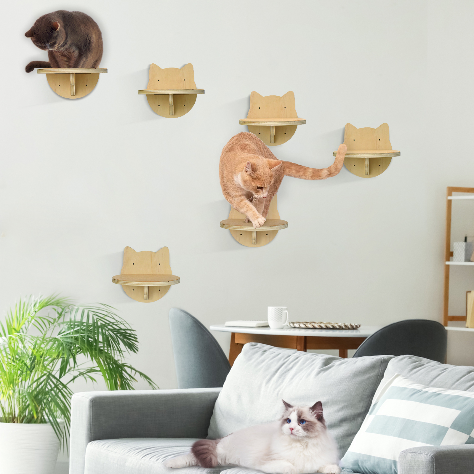 6-Packs Cat Climbing Shelves Wall Mounted, Cat Wall Steps Shelves, Cat ...