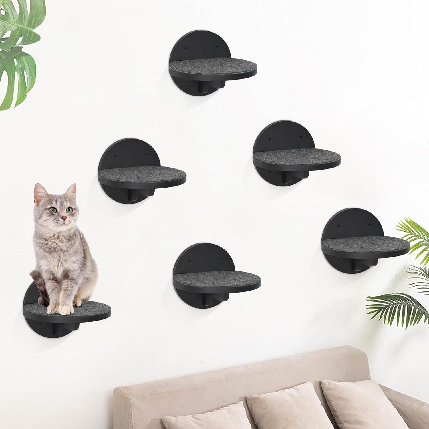 Curated visual reference: Gallery Detail: 6 Packs Cat Climbing Shelves Wall Mounted Cat Wall Steps