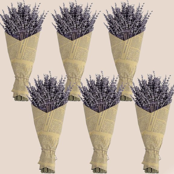 6 Packs Natural Dried Lavender Flowers Bouquet with Stems (14-17 Inches, 540-600 Stems Total), Home Fragrance for Drawers, Wedding Decor & Photography Props, DIY Crafts Supplies