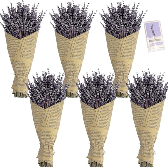 6 Packs Natural Dried Lavender Flowers Bouquet with Stems (14-17 Inches, 540-600 Total), Home Fragrance for Drawers, Wedding Decor & Photography Props, DIY Crafts Supplies