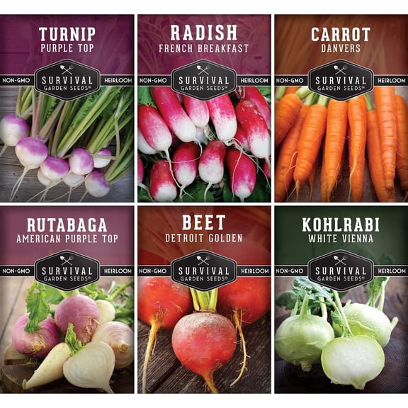 Root Vegetable Seeds 6 Pack Collection - Full Sun, Biennial