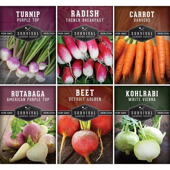 6 Packs Root Vegetable Seed Collection - Turnip, Radish, Carrot, Rutabaga, Beet, Kohlrabi