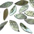 thumbnail image 1 of 6 Packs of Leaf Tinted Shell Beads - Gray - 2 x 8" Strand, 1 of 4
