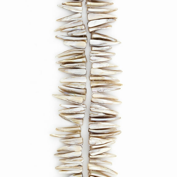 6 Packs of Spiked Tinted Shell Beads - Natural - 2 x 8" Strand