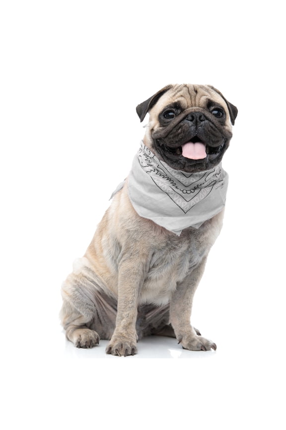 6 Paisley Polyester Dog & Cats Bandana Triangle Bibs - Washable & One Size (White)