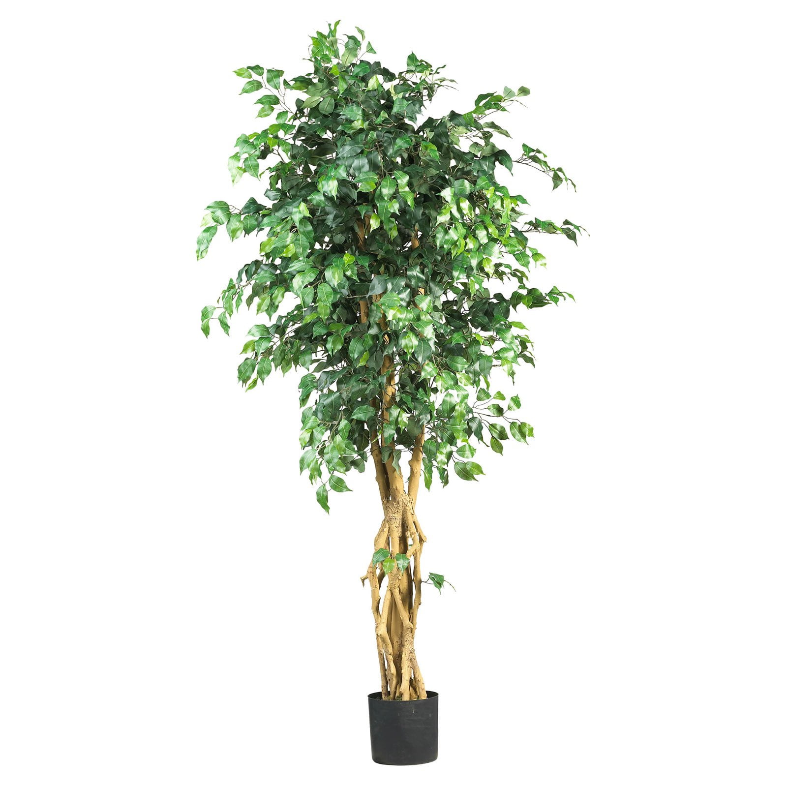 6ft Green Silk Ficus Tree with Twisting Trunks