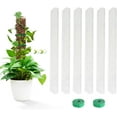 thumbnail image 1 of 6 Pcs 24 inch Plastic Moss Pole for Plants Monstera, Jorking 6×24'' Plant Poles for Climbing Plants, Plant Support for Indoor Plants Sphagnum Moss, 1 of 7