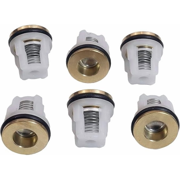 6 Pcs AR-42123 Pressure Washer Pump Check Valve Kit Replacement for Pressure Washer Valve Kit, Replacement for RMW RMV Series Pumps, EZ Start, AR 42123
