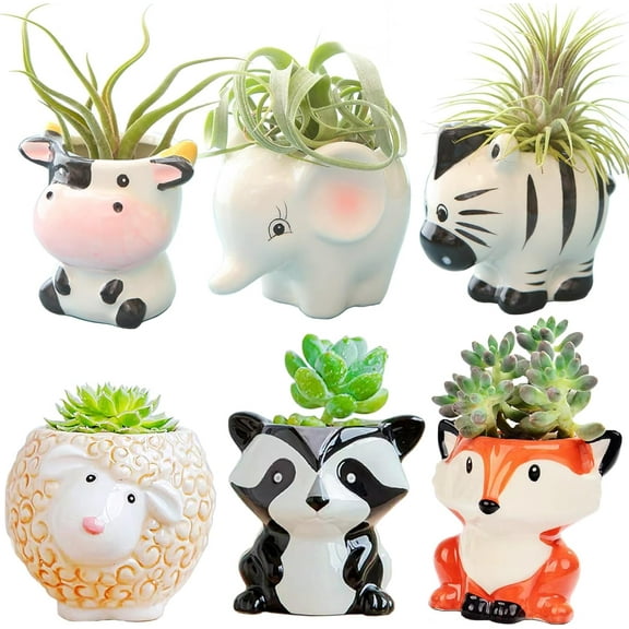 6 Pcs Air Plant Holders Cartoon Shaped Small Succulent Pot Animal Planter, Small Ceramic Plant Pot Drainage for Mini Plant Cactus Flower, Tillandsia Air Fern, Display Stand Home, Office Desktop