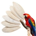 6 Pcs Bird Chewing Cuttlefish Bone Gnawing Cuttlebone Bird Cage