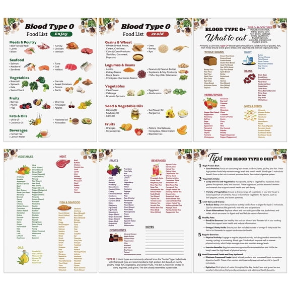 6 Pcs Blood Type O Food O Blood Type Chart Diet Food Poster Grocery List To Eat Guide Nutritional Diet Poster Nutrition Educational poster