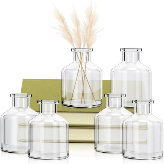 6 Pcs Bud Vases, 2 x 2.75 inch Clear Glass Bud Vase, Mini Flower Vases, Small Living Glass Vase Bulk for Flowers Centerpieces Home Table Decor Living Room Office Decor