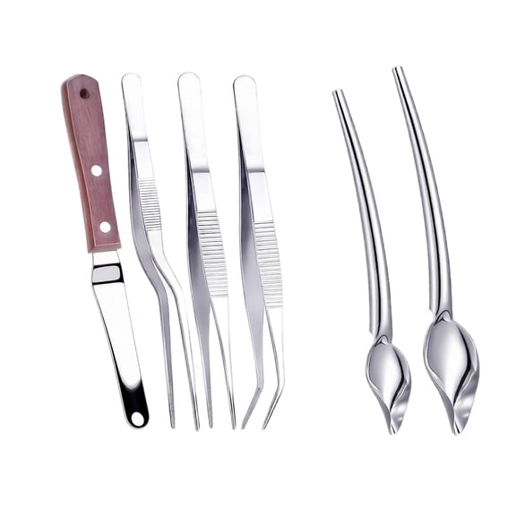 6 Pcs Chef Plating Tools Set, Stainless Steel Drawing Spoons and Tweezers for Sauce Decor Cake Candy Culinary Precision