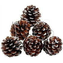 6 Pcs Christmas Pine Cones 1.96"Snow Tipped Natural Pine Cones Wood Frosted Pine Cone Ornaments for Decorating and Designing